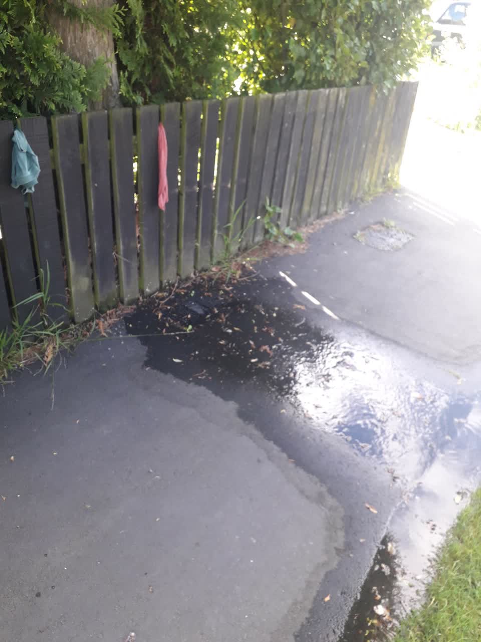 The photograph attached to this water leak report