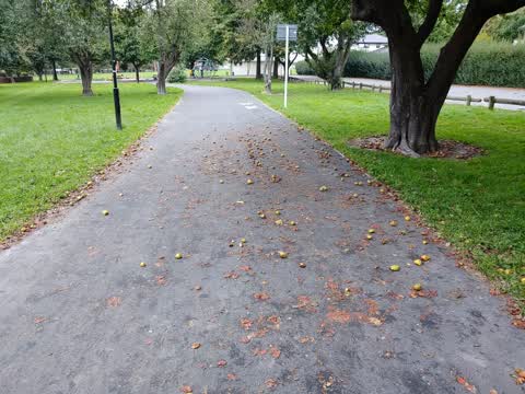 Parks, a report photo