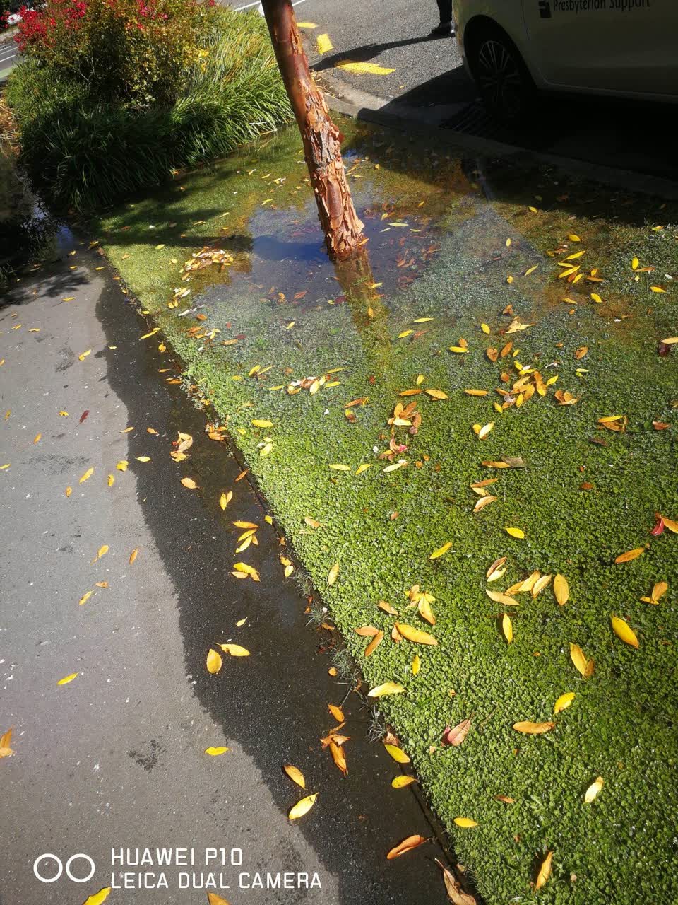 The photograph attached to this flooding report