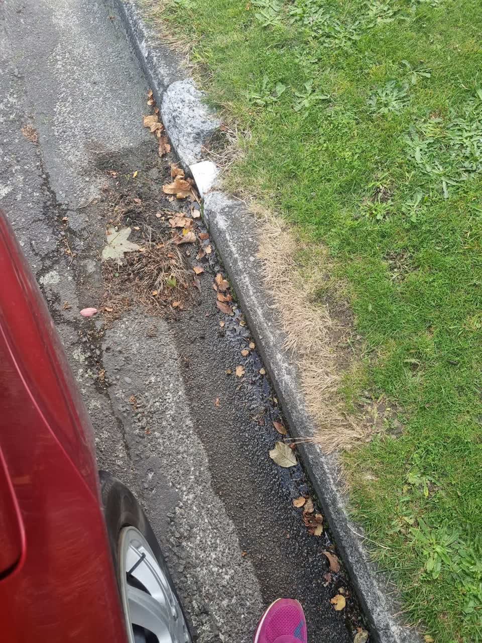 The photograph attached to this water leak report
