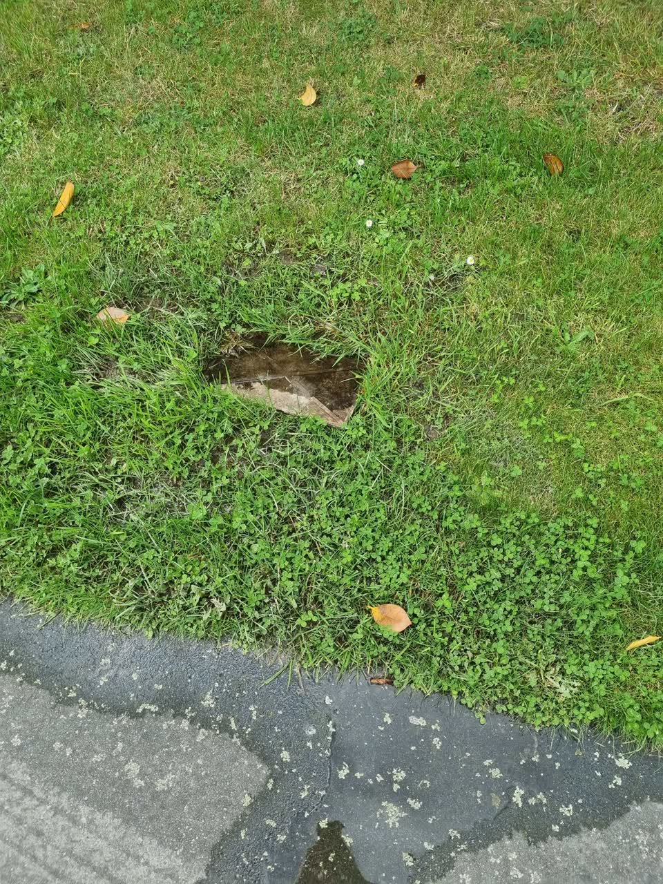 The photograph attached to this water leak report