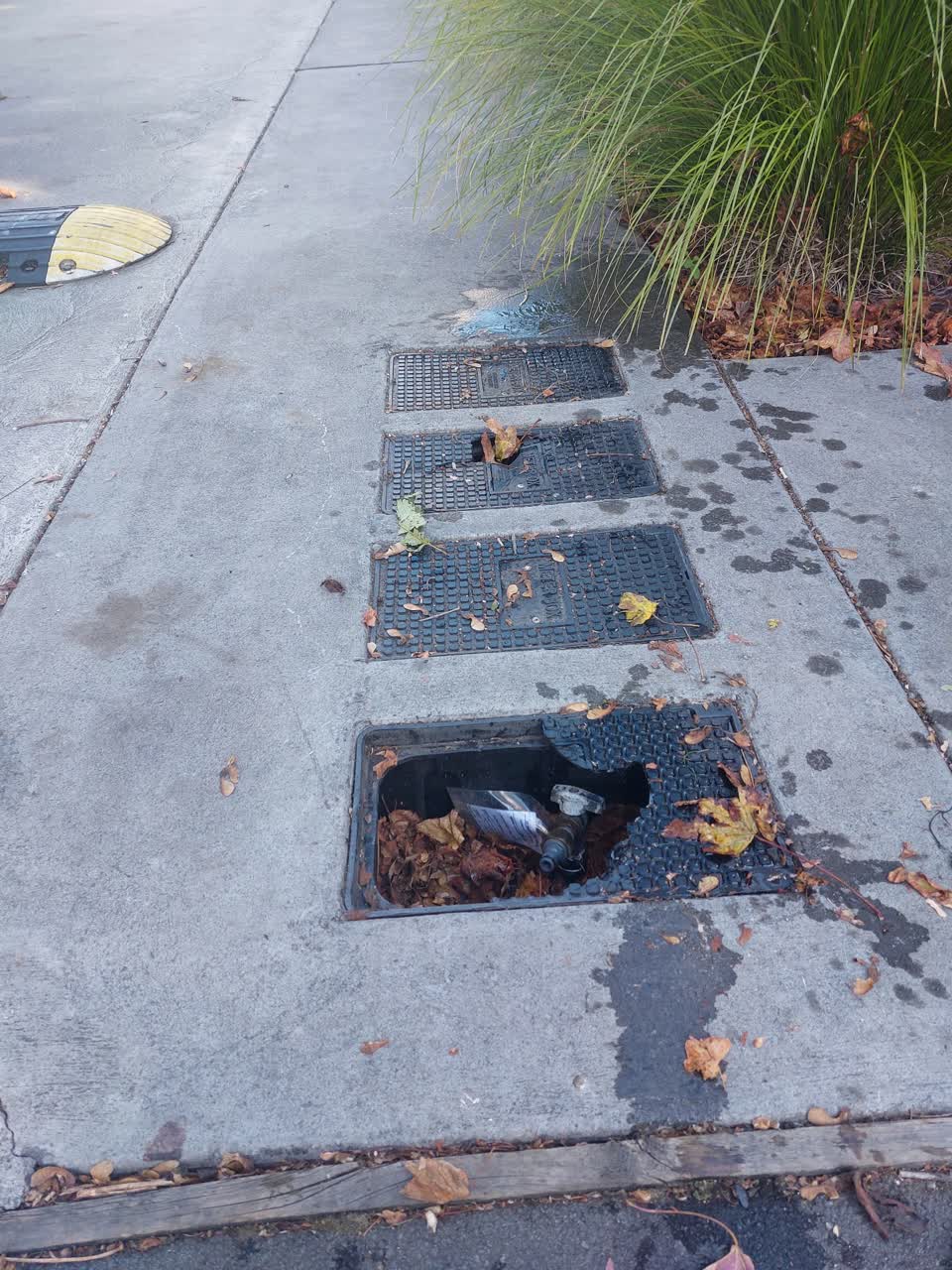 The photograph attached to this water supply report
