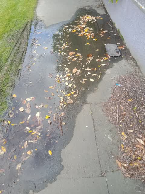 Water Leak, a report photo
