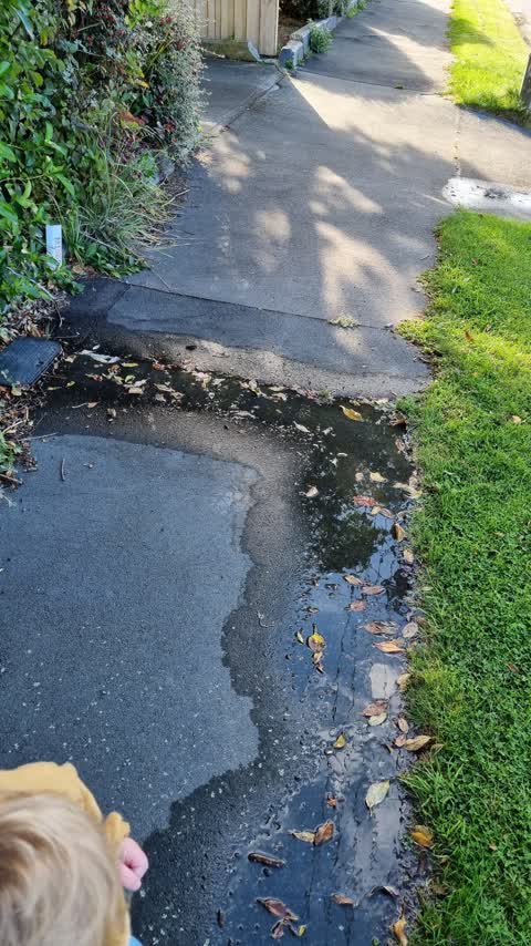 Water Leak, a report photo