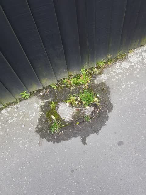 Water Leak, a report photo
