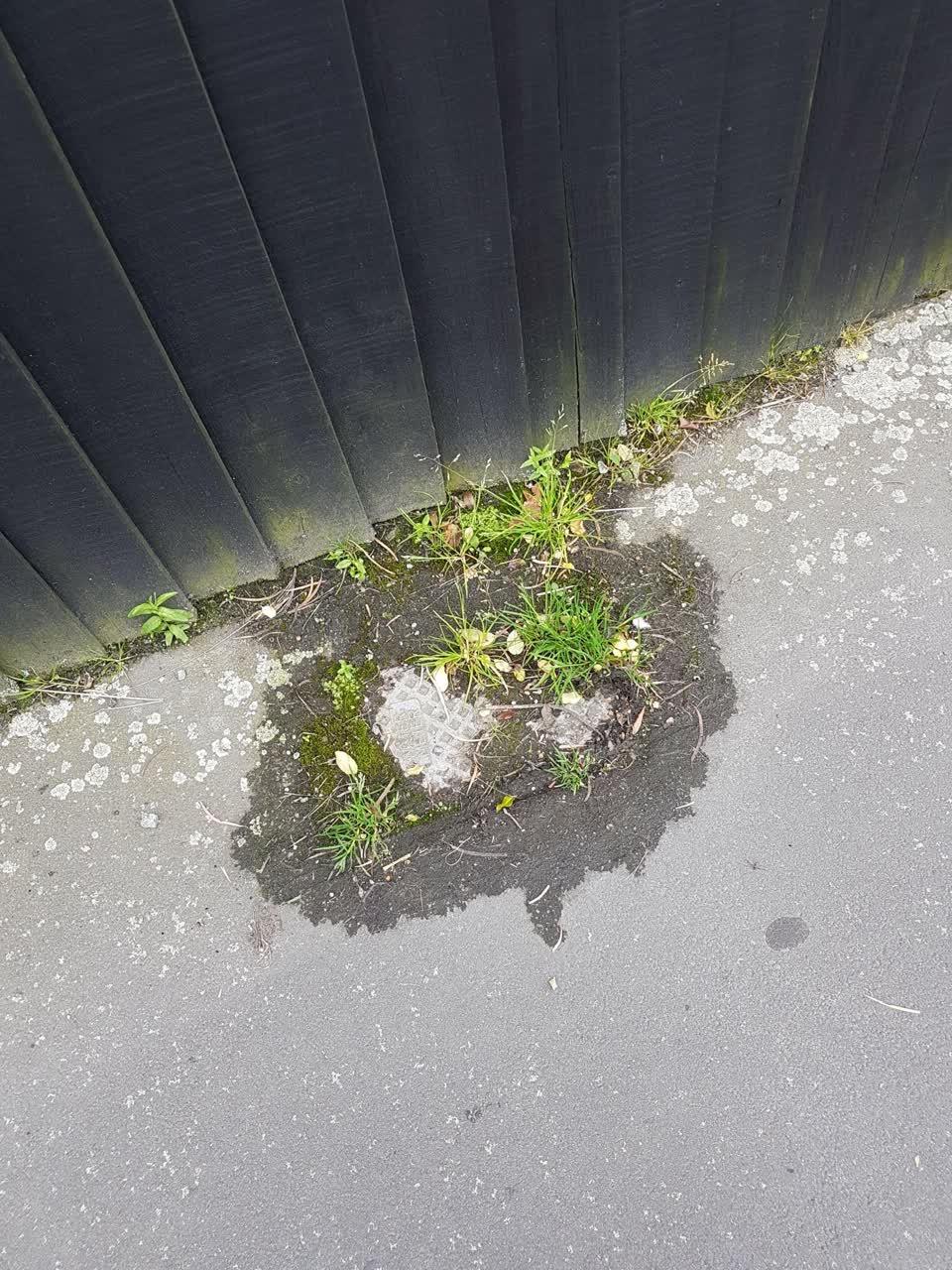 The photograph attached to this water leak report