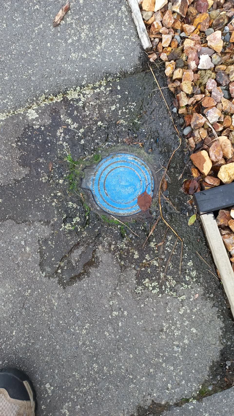 The photograph attached to this water leak report