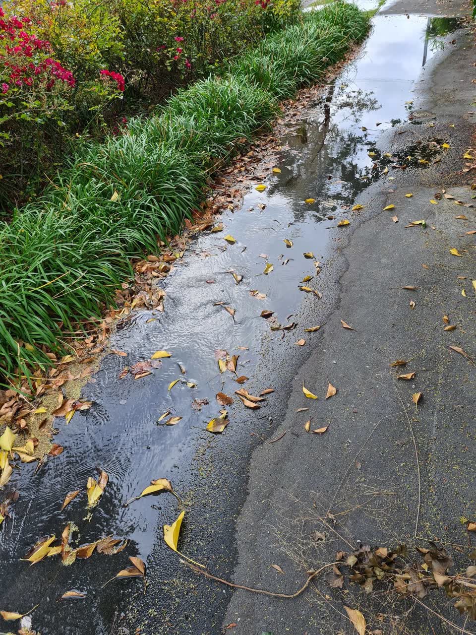 The photograph attached to this sewer - leak / blockage report