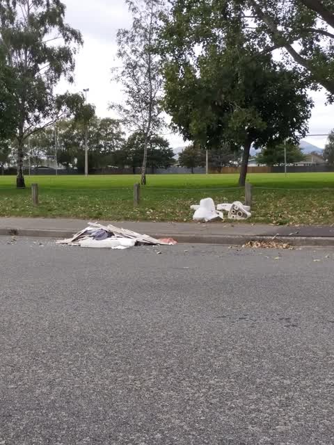 Rubbish/Recycling, a report photo
