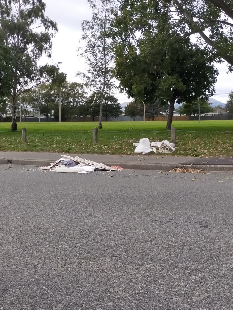 The photograph attached to this rubbish/recycling report