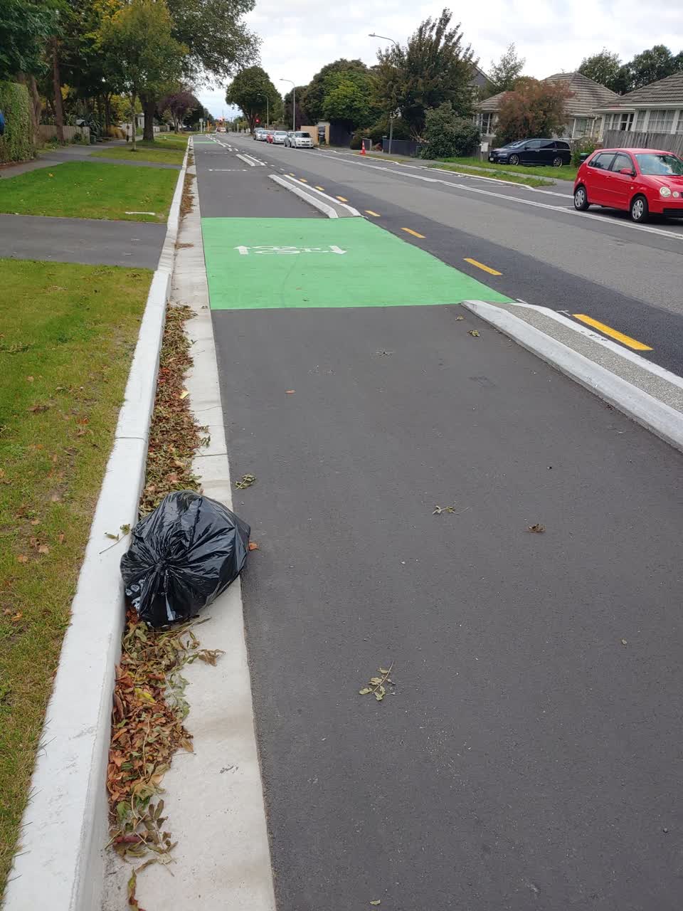 The photograph attached to this roading/streets report