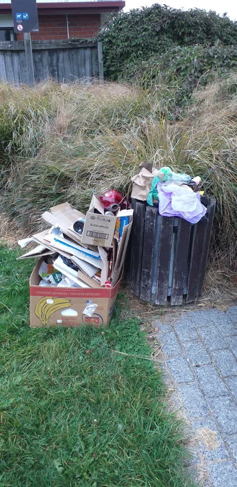 Rubbish/Recycling — a report photo