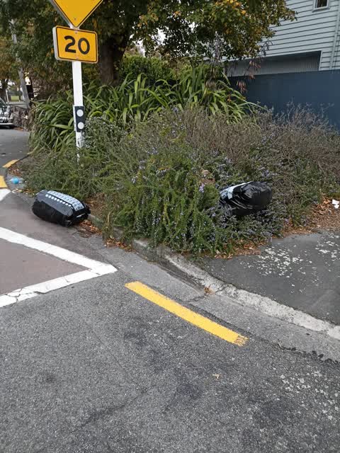 Rubbish/Recycling, a report photo