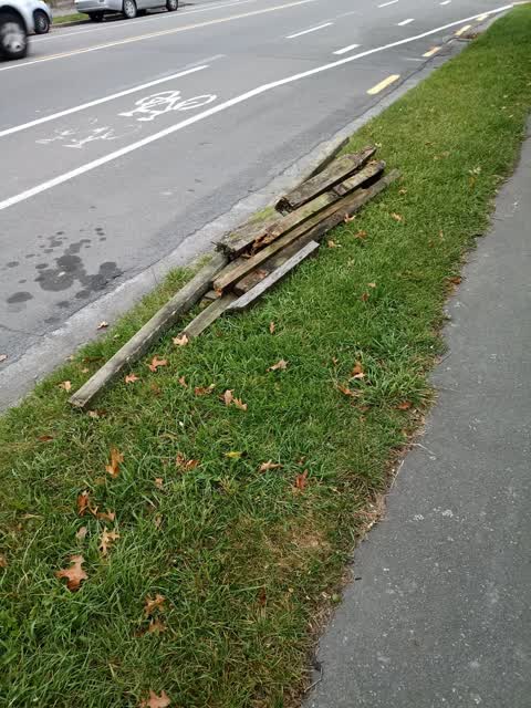Rubbish/Recycling, a report photo