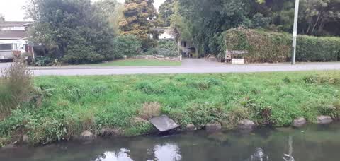 Rubbish/Recycling — a report photo