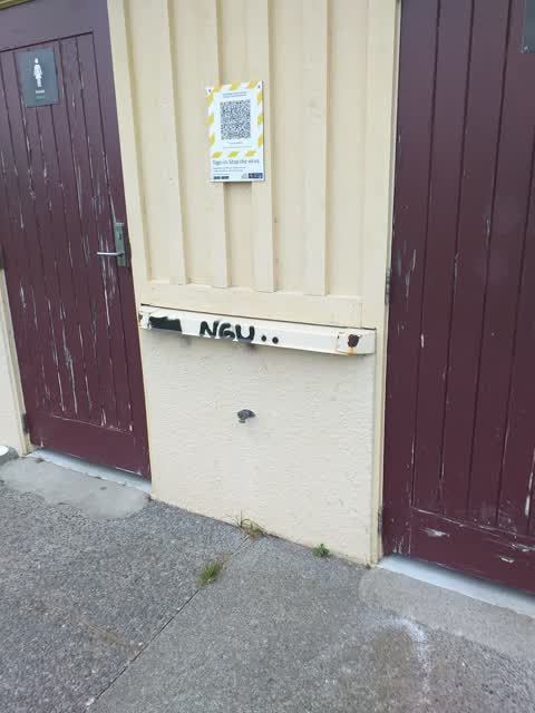 Graffiti, a report photo