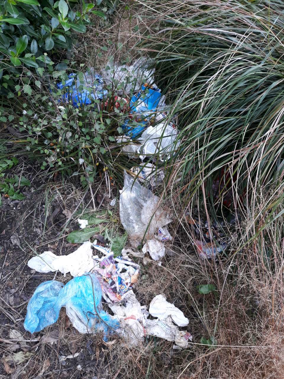 The photograph attached to this parks report