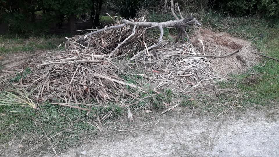 The photograph attached to this parks report