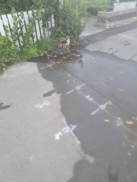 Water Leak, a report photo