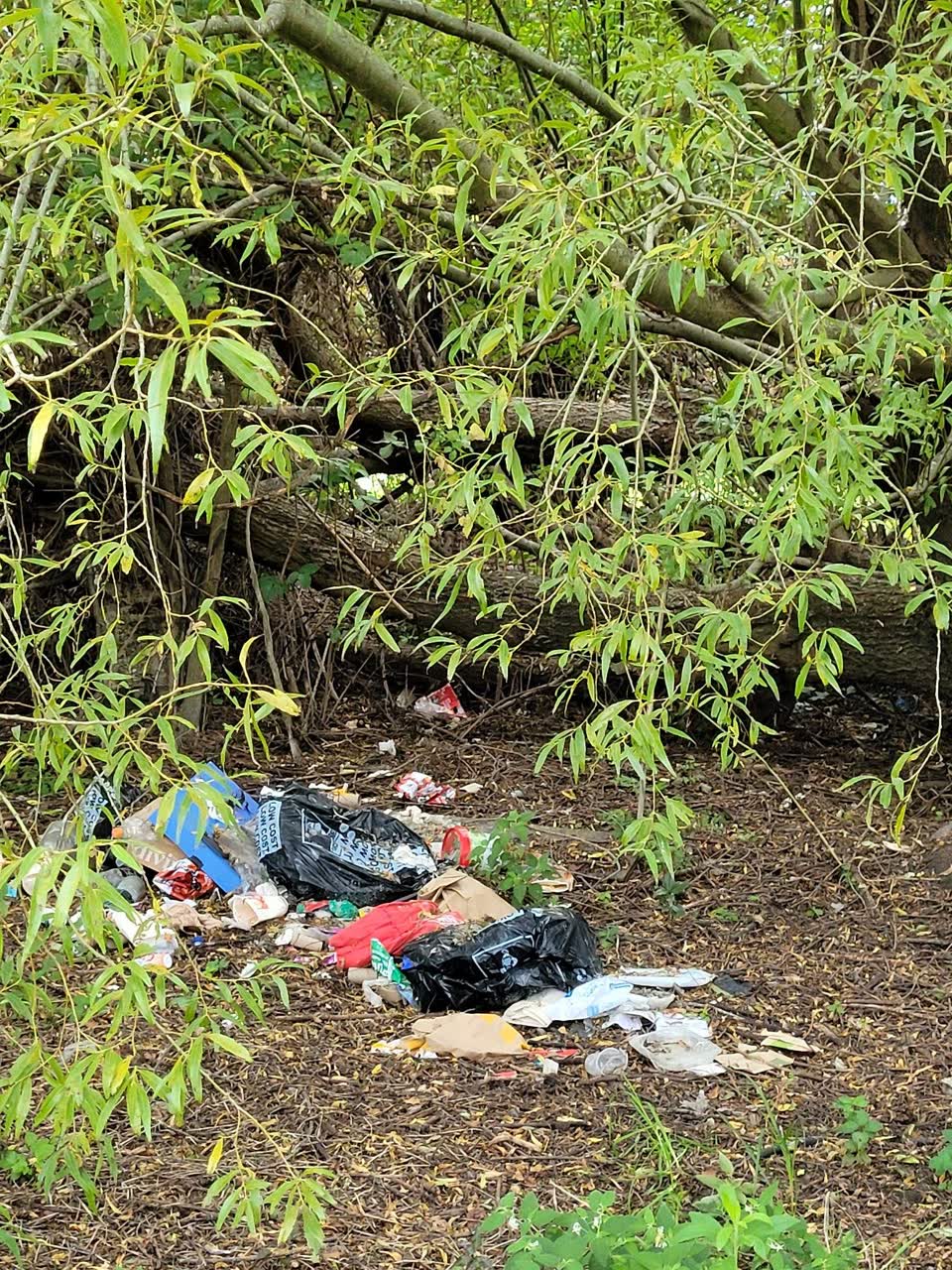 The photograph attached to this rubbish/recycling report
