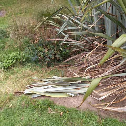 Rubbish/Recycling, a report photo