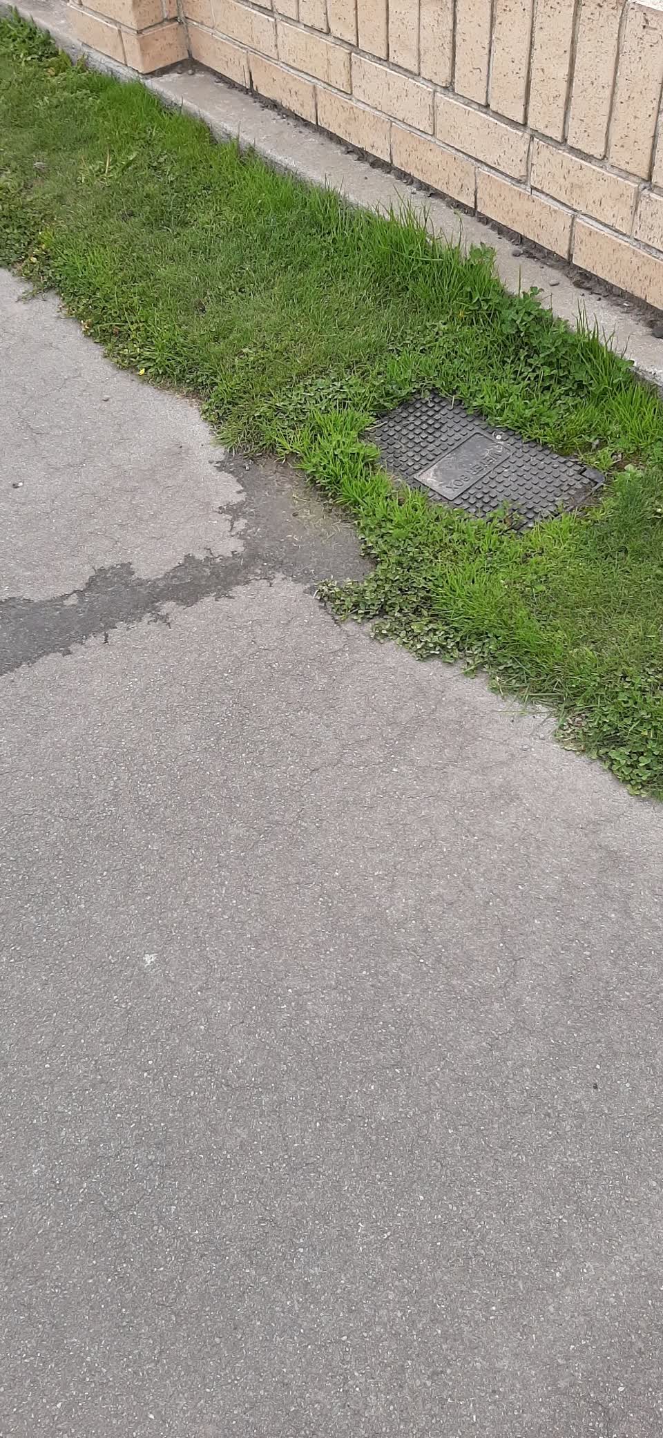 The photograph attached to this water leak report