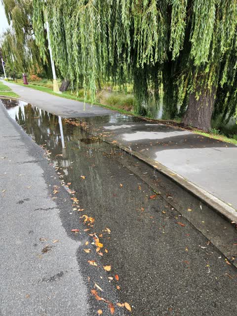Wastewater/Stormwater, a report photo