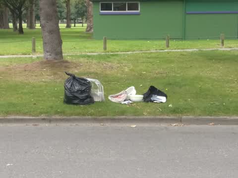 Rubbish/Recycling, a report photo