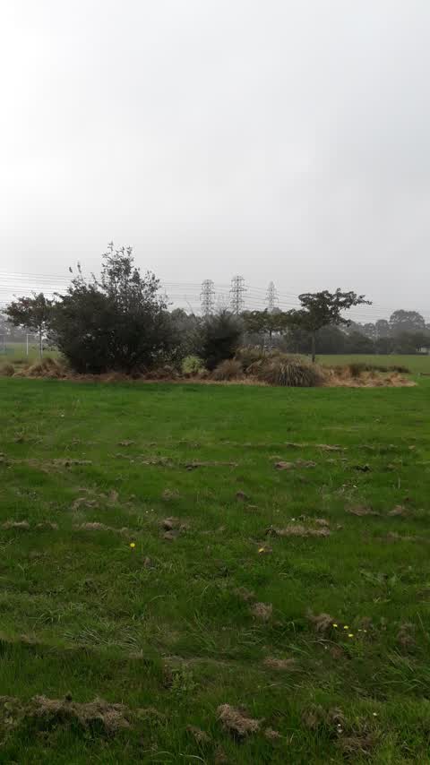 Parks, a report photo