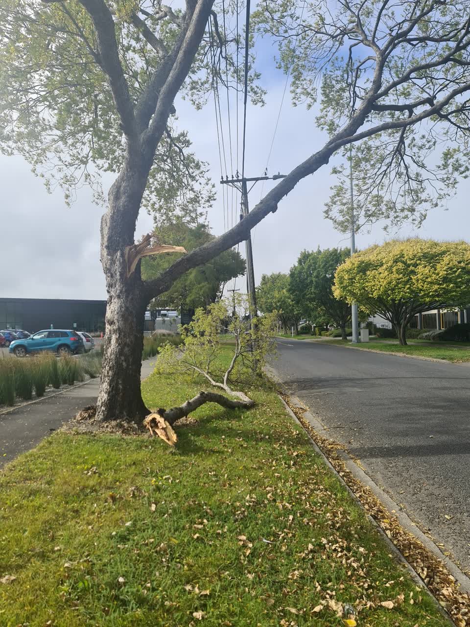 The photograph attached to this parks report