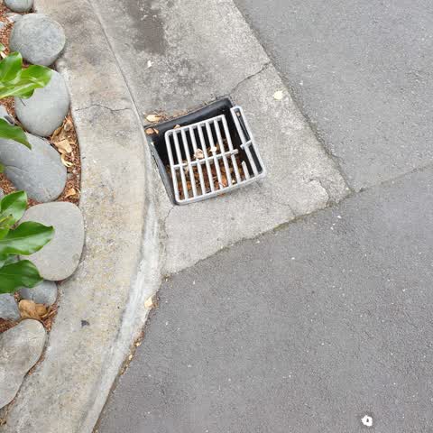Roading/Streets, a report photo