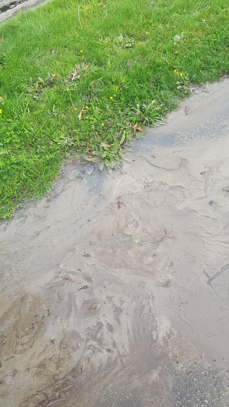 The photograph attached to this water leak report