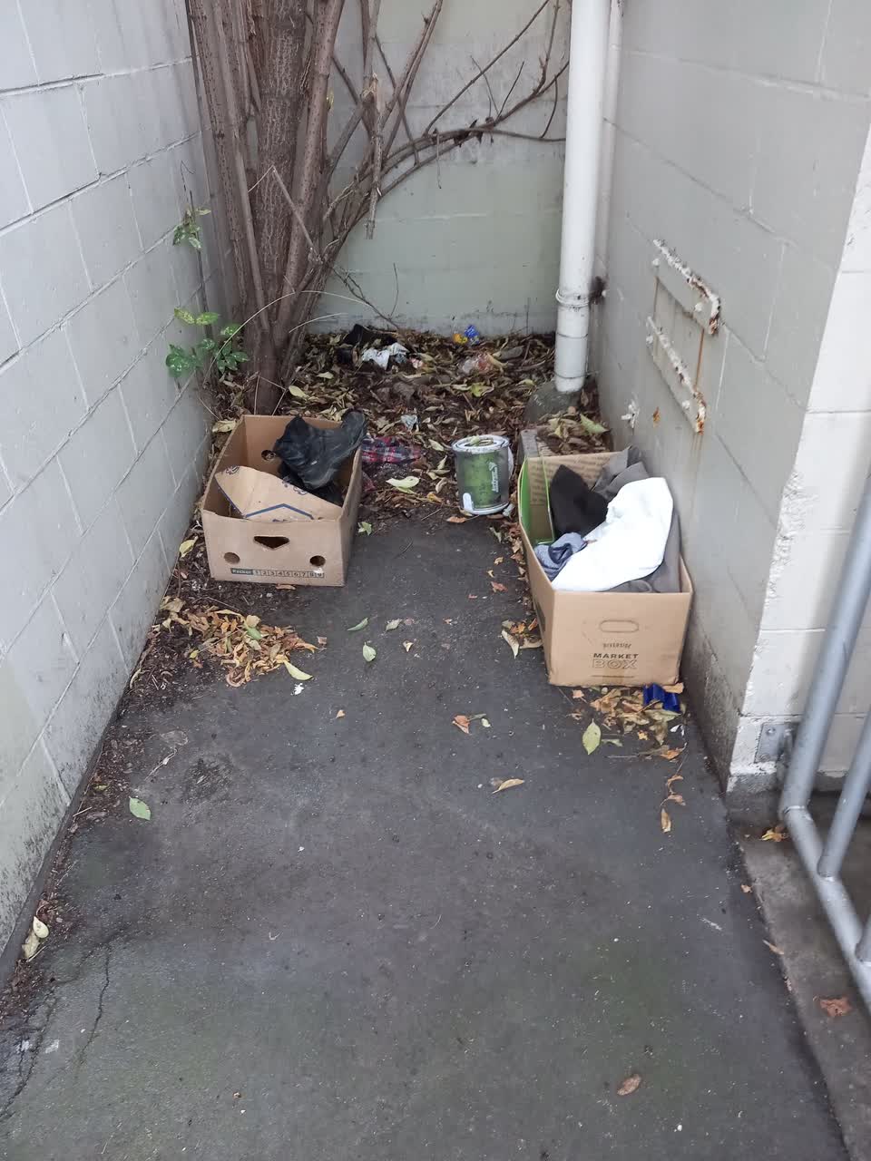 The photograph attached to this rubbish/recycling report