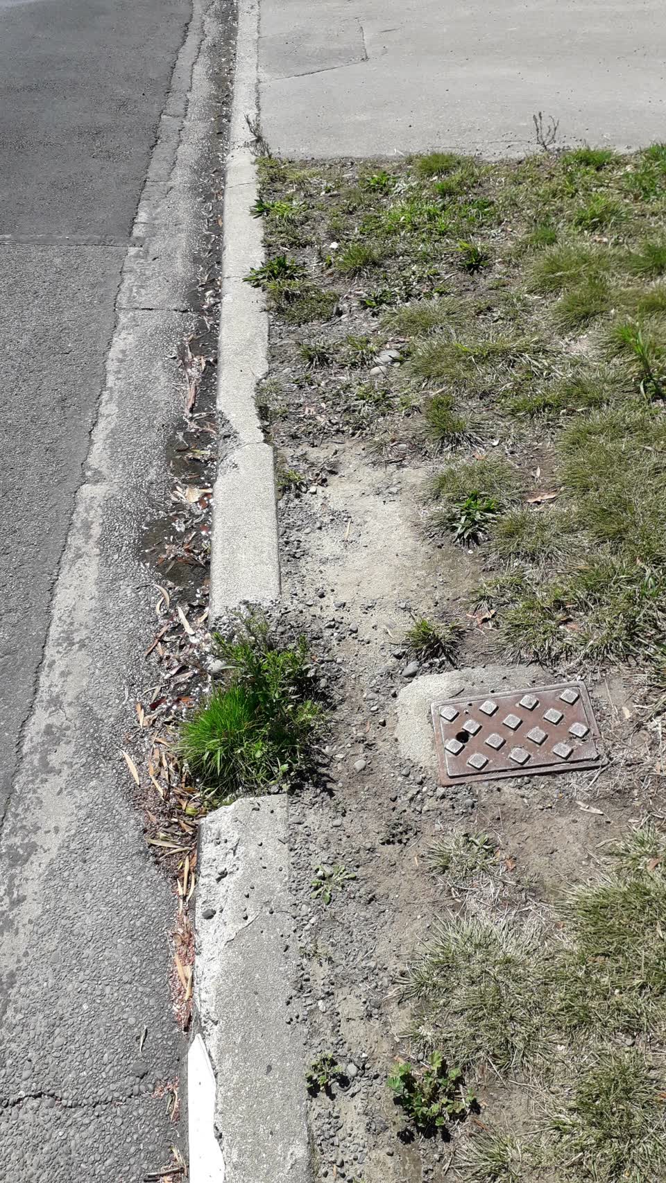 The photograph attached to this water leak report