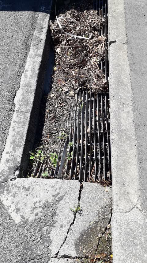 Wastewater/Stormwater, a report photo