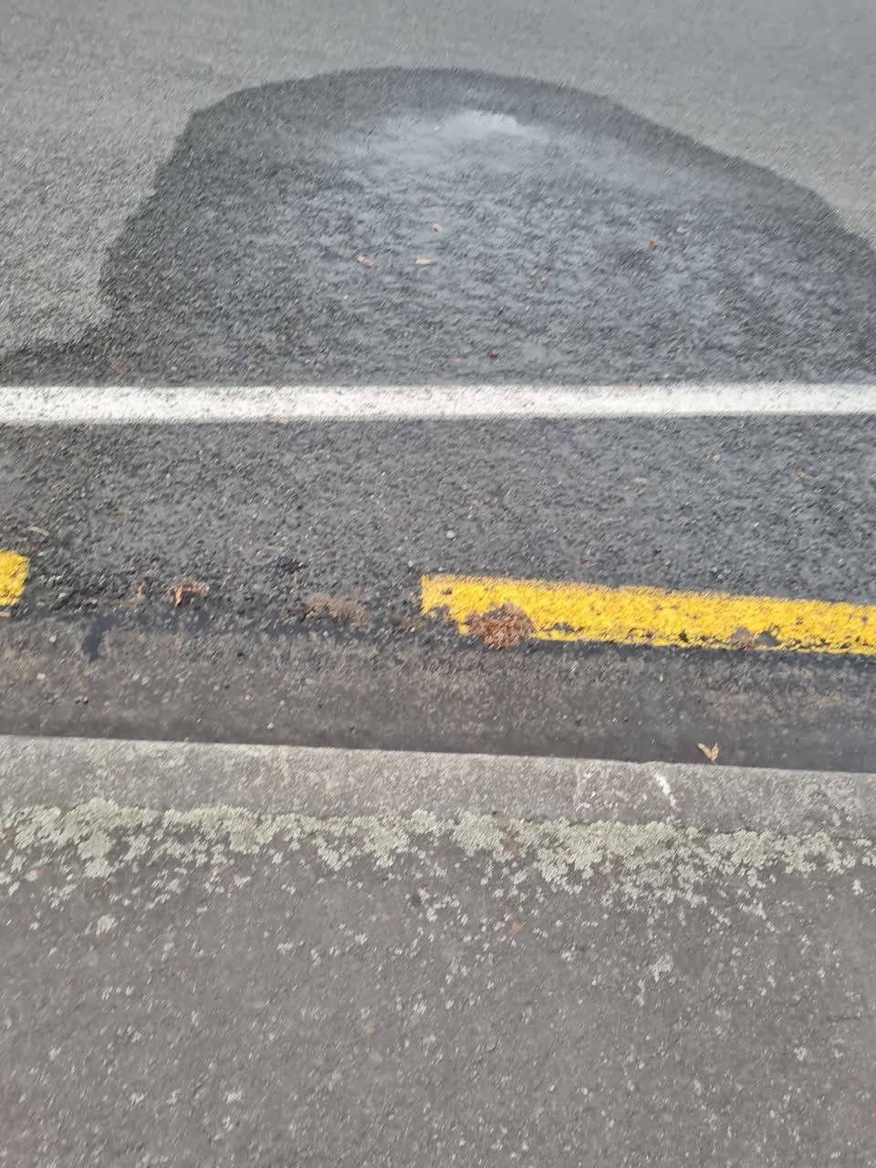 The photograph attached to this water leak report