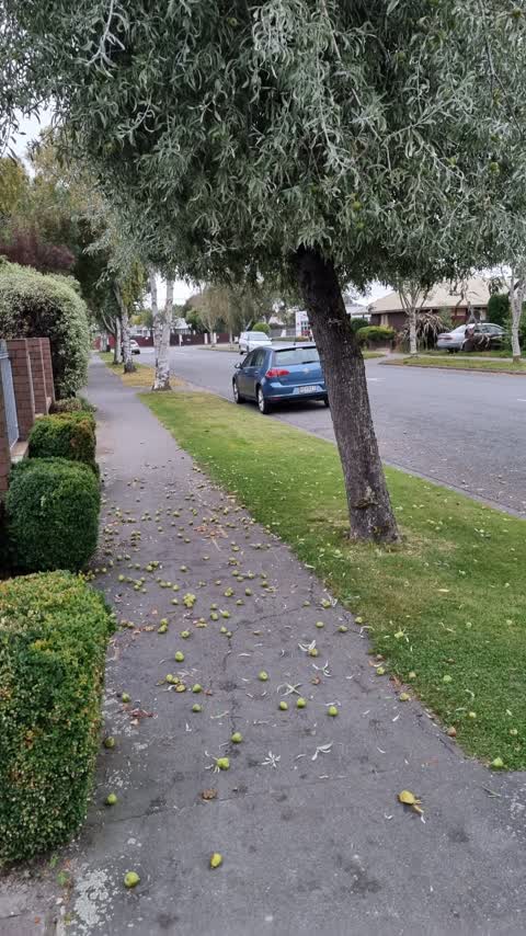 Roading/Streets — a report photo