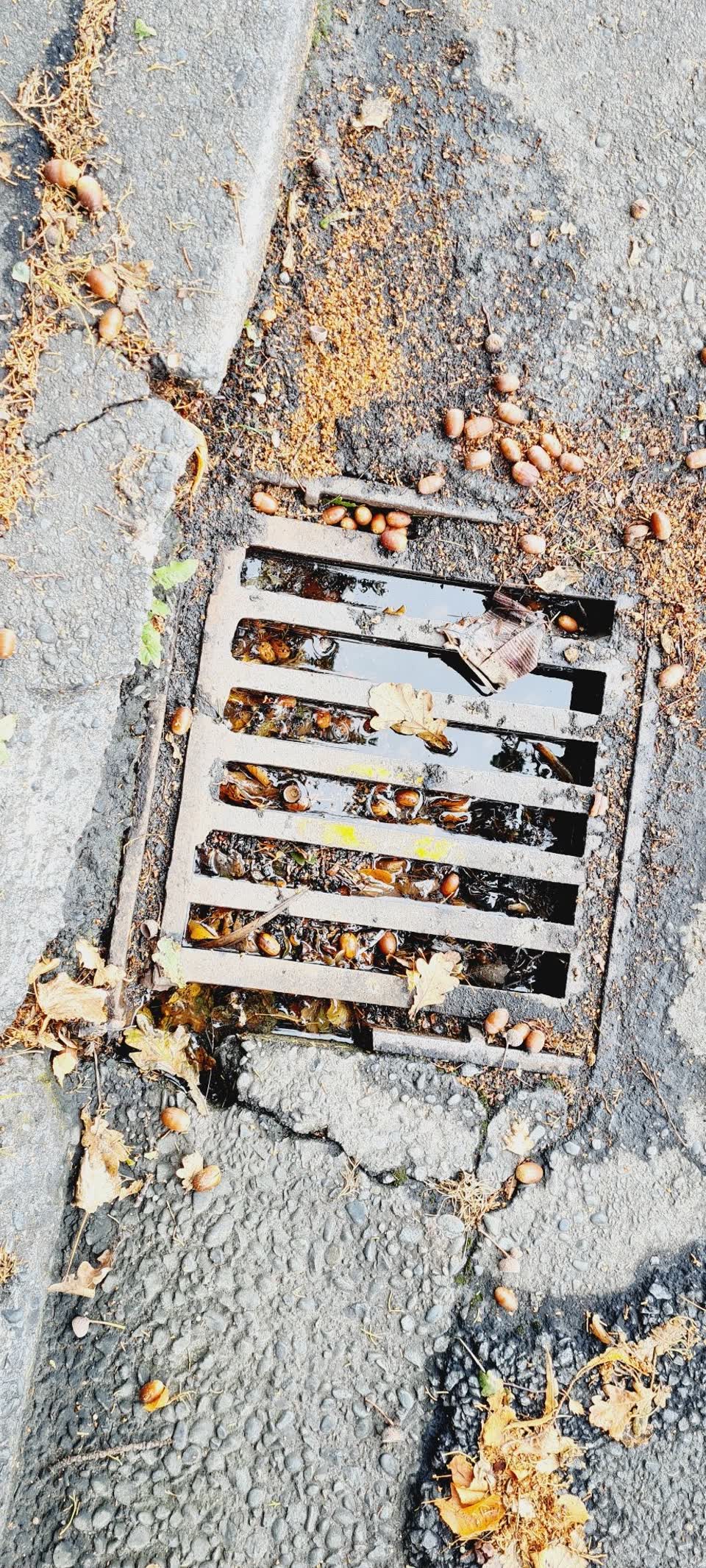 The photograph attached to this sewer - leak / blockage report