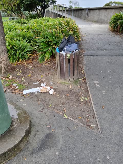 Rubbish/Recycling, a report photo