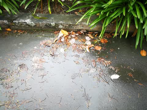 Water Leak, a report photo