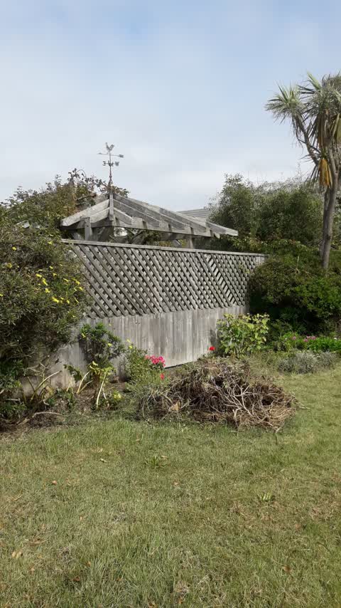 Parks, a report photo