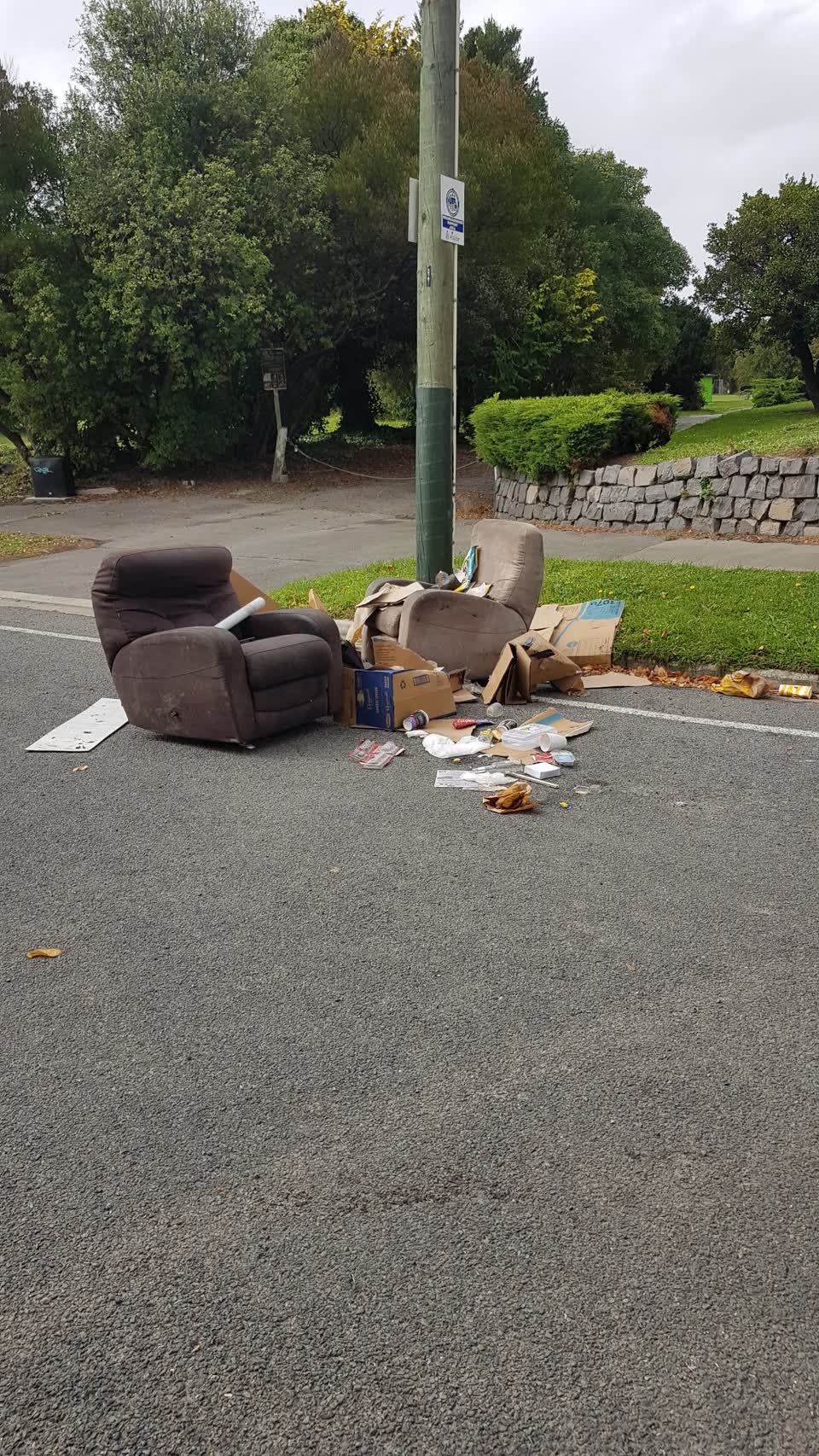 The photograph attached to this rubbish/recycling report