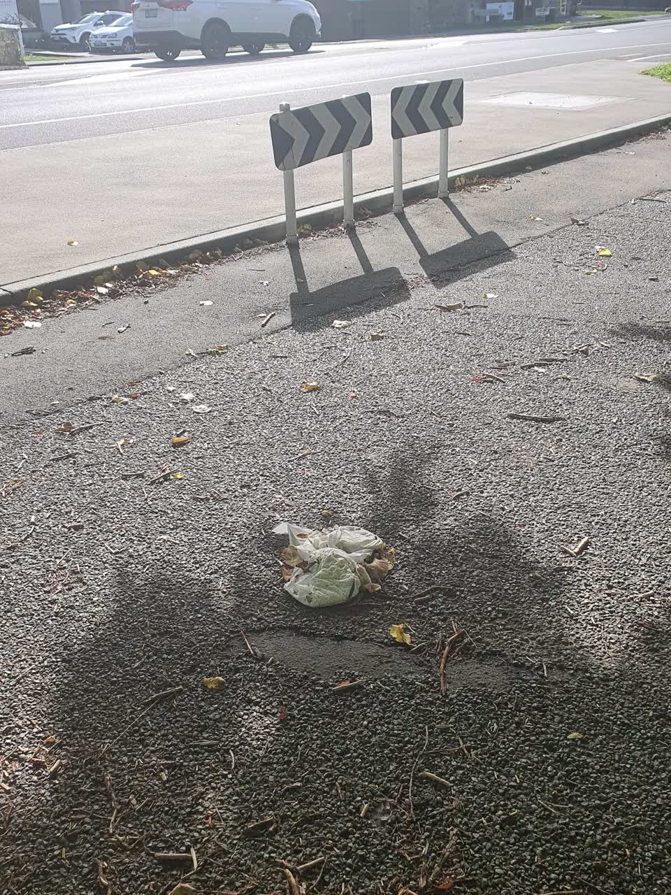 The photograph attached to this rubbish/recycling report