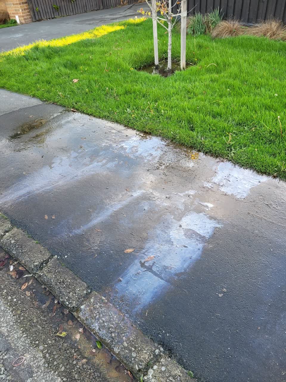 The photograph attached to this water leak report