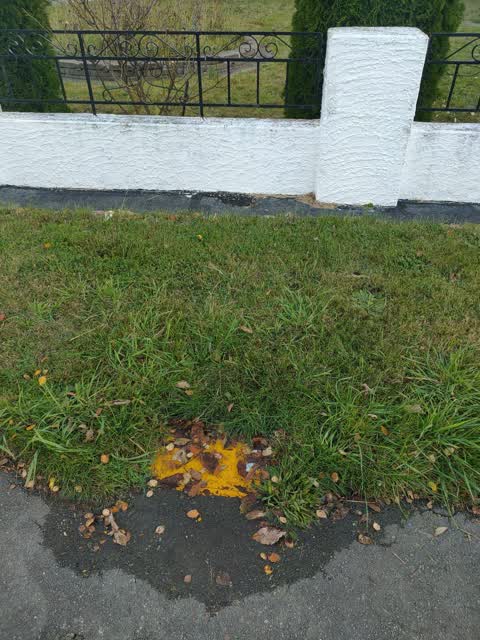 Water Leak, a report photo