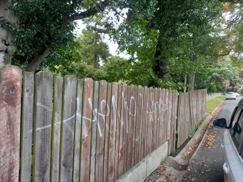 Graffiti, a report photo