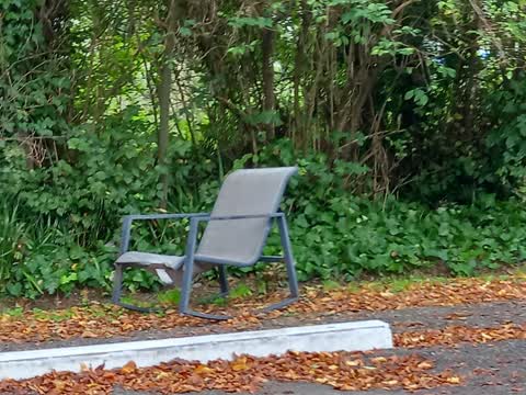 Rubbish/Recycling, a report photo