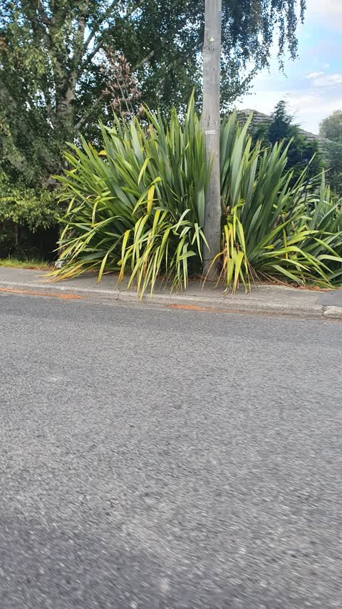 Roading/Streets, a report photo