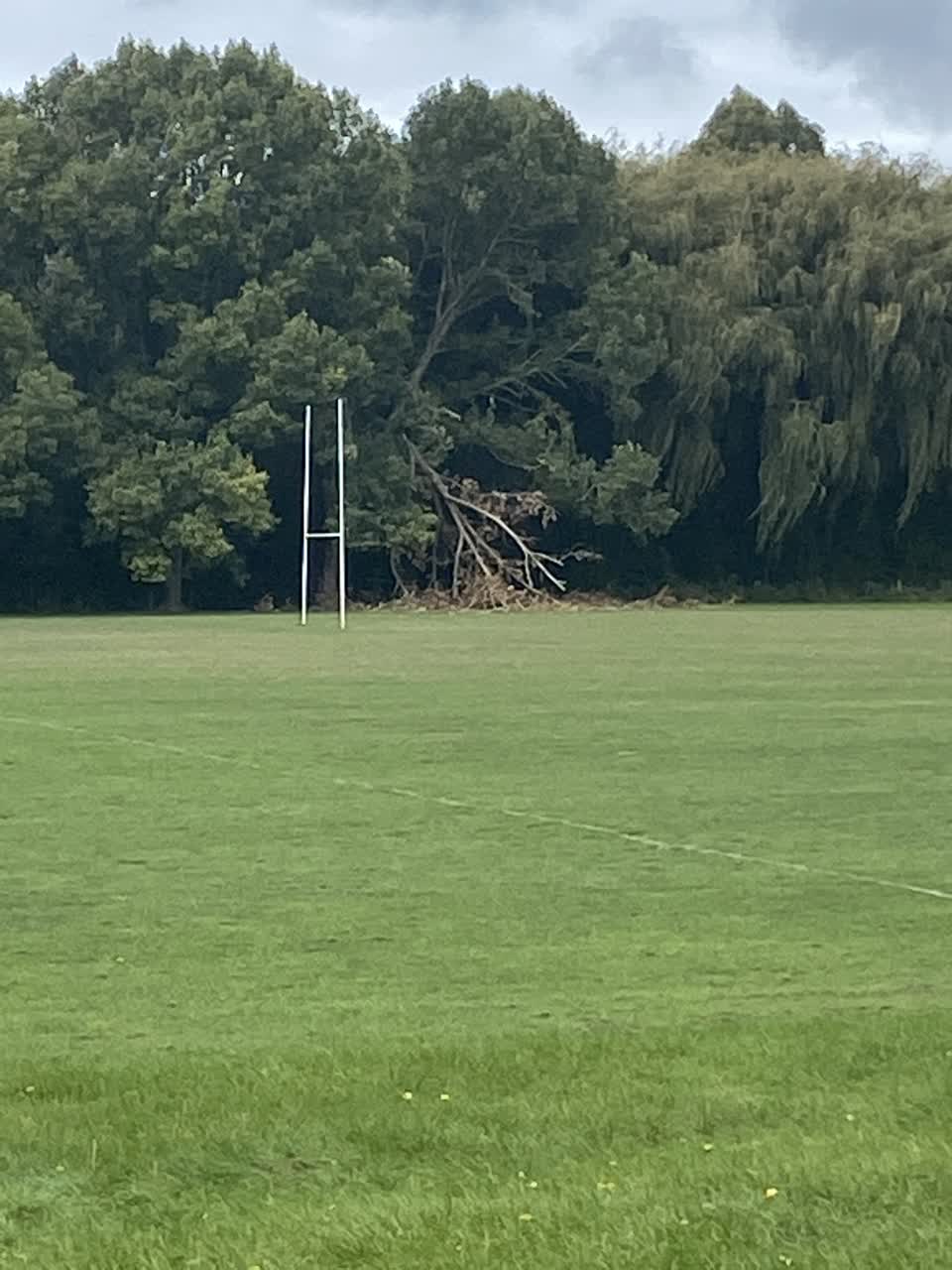 The photograph attached to this parks report