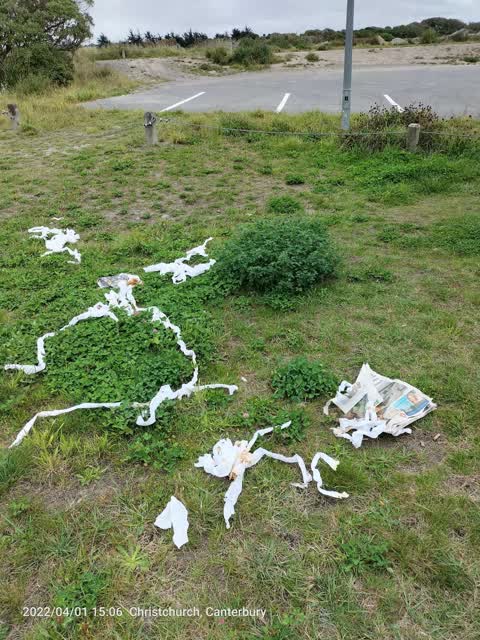 Parks, a report photo